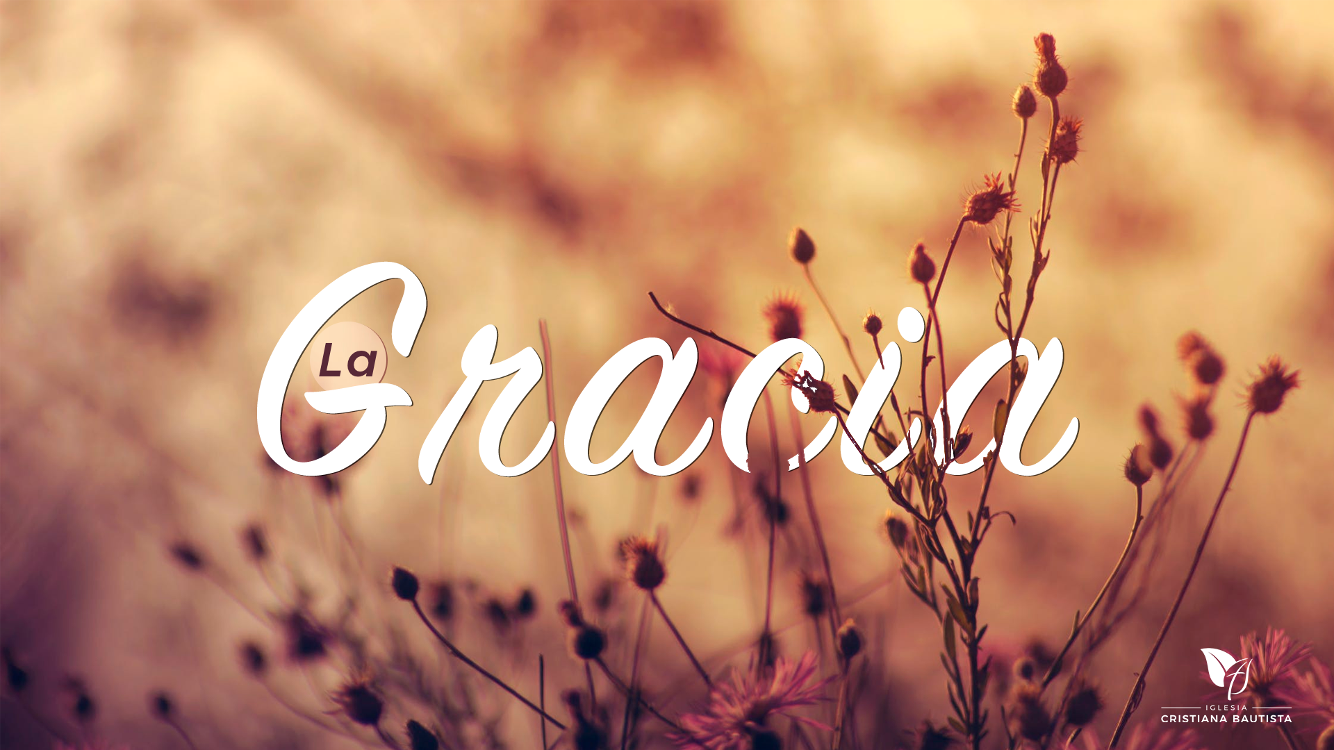 La Gracia -Pastor Héctor Delgado, Por: Pastor Héctor Delgado# | Predicaciones en MP3 | Sermones Cristianos